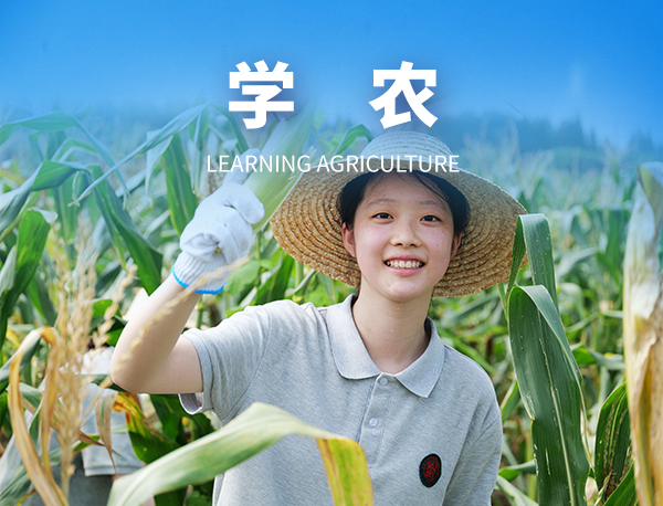 学 农